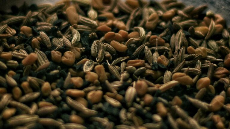 Lagerung von Gewürzen: So bleiben Aroma und Haltbarkeit erhalten